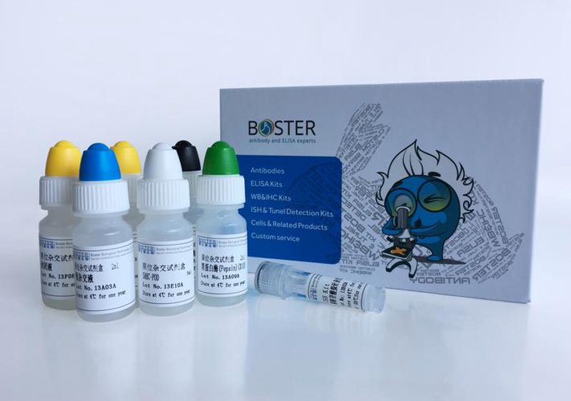 生物技术研发：开启未来之门的钥匙