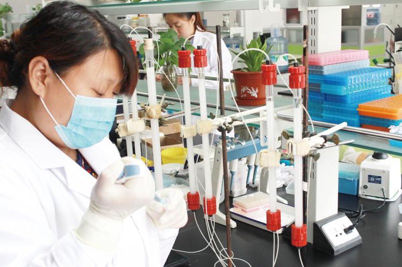 生物技术研发：推动生命科学的创新引擎